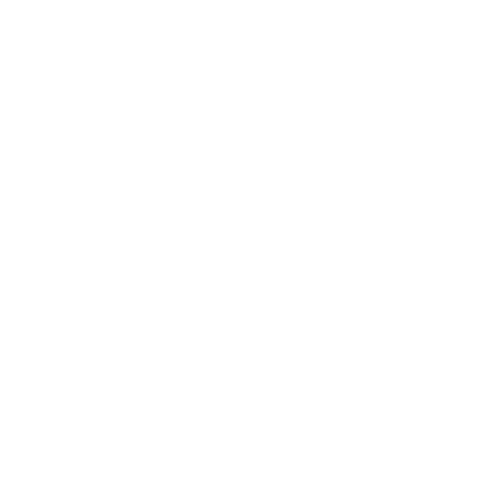 Spiegel Logo